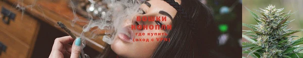 прущие грибы Богородск