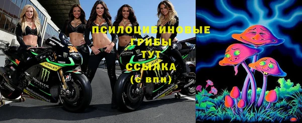 МДМА Богородицк