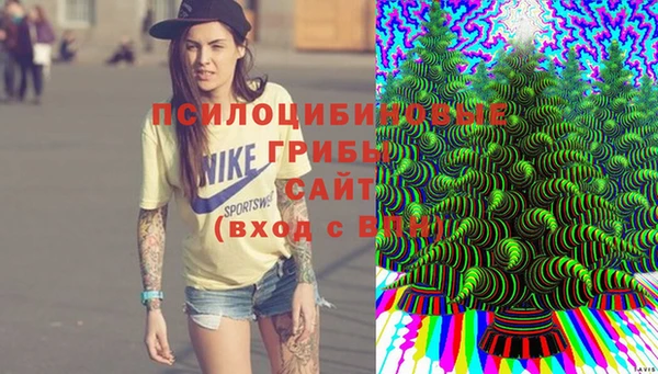 прущие грибы Богородск
