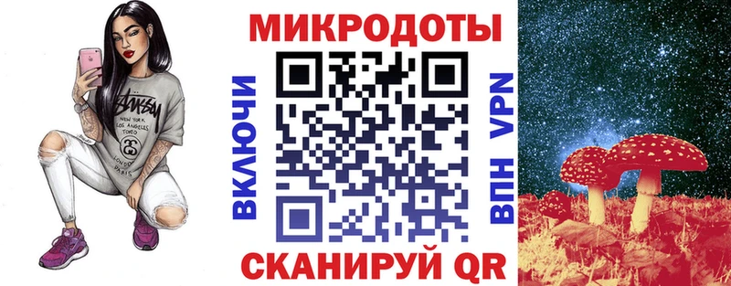 где купить наркоту  Находка  Галлюциногенные грибы Cubensis 